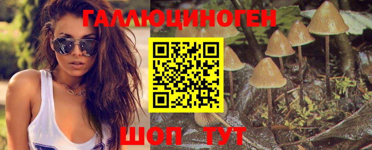 Брянск  купить наркотик  Вход с VPN  Галлюциногенные грибы ЛСД 